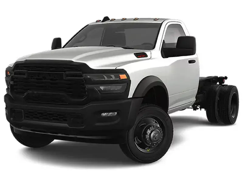 Imagen de RAM 4000
